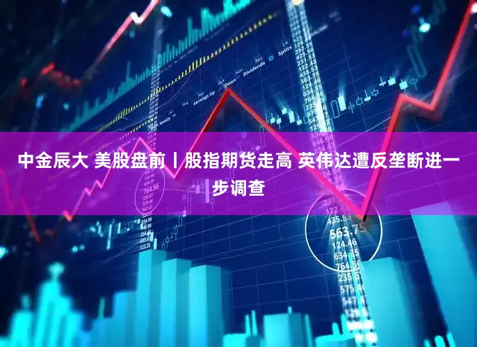 中金辰大 美股盘前丨股指期货走高 英伟达遭反垄断进一步调查