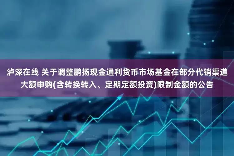 泸深在线 关于调整鹏扬现金通利货币市场基金在部分代销渠道大额申购(含转换转入、定期定额投资)限制金额的公告